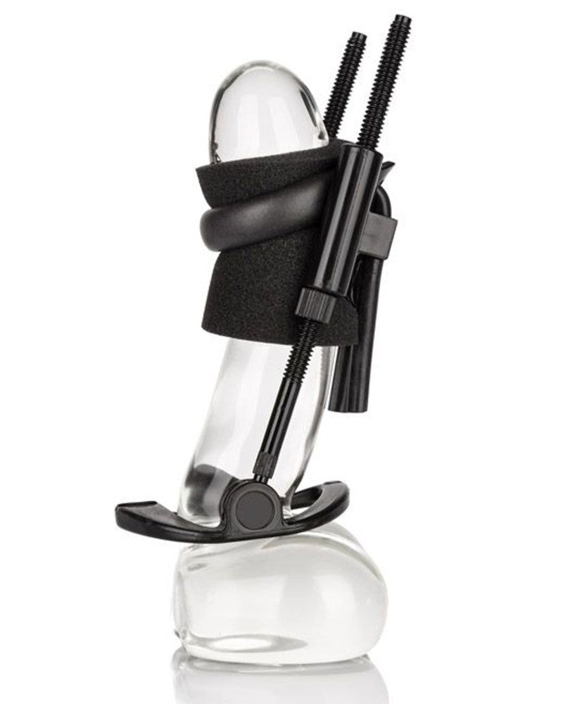 Extenseur Pénien